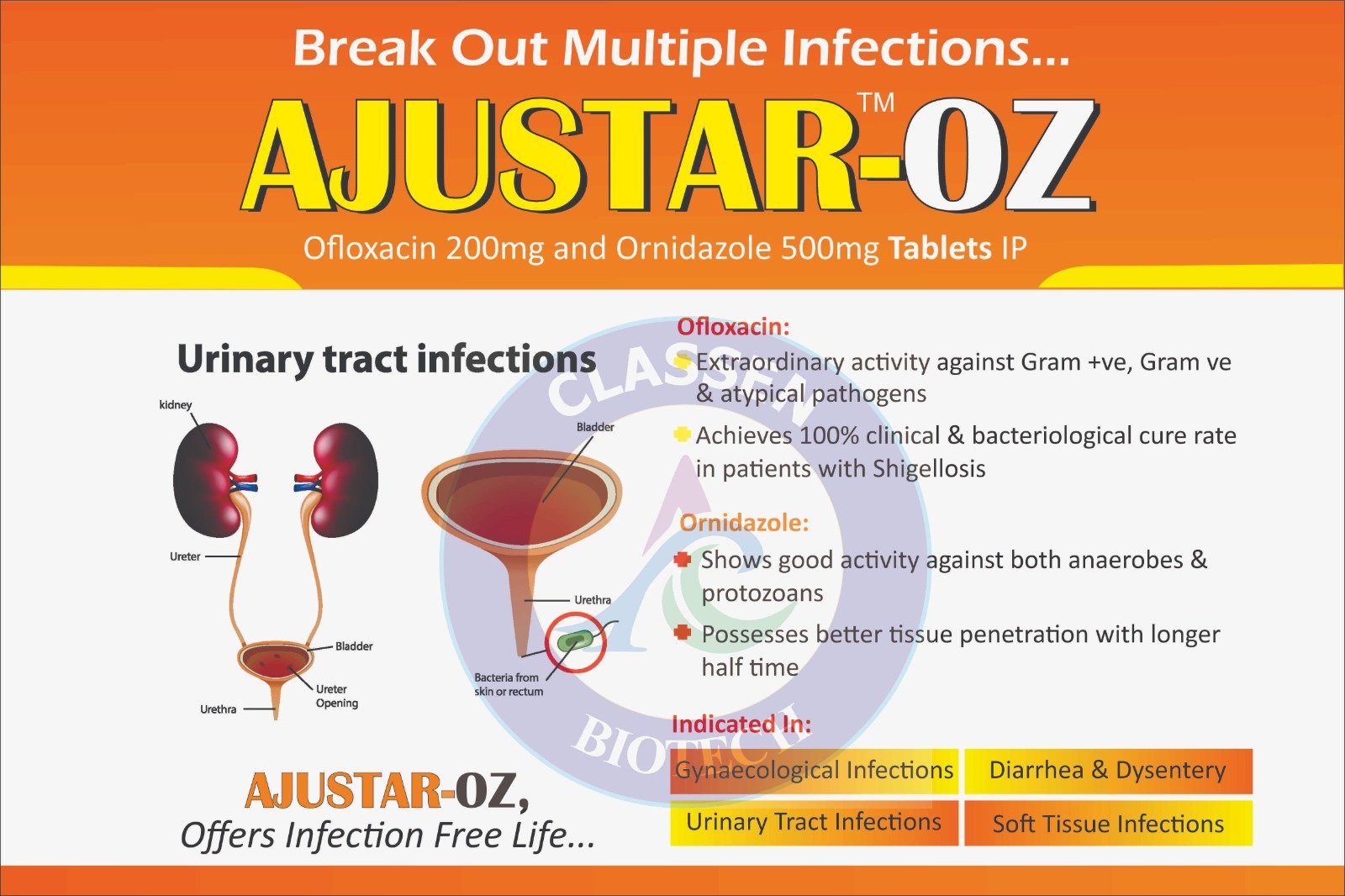 Product advertisement 2